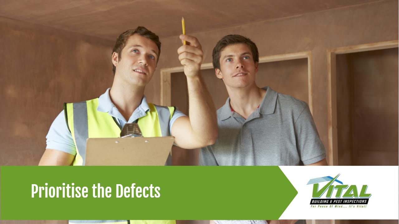 building inspection - Vital Building and Pest Inspections