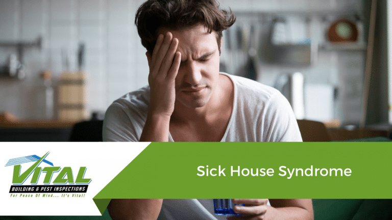 Sick House Syndrome