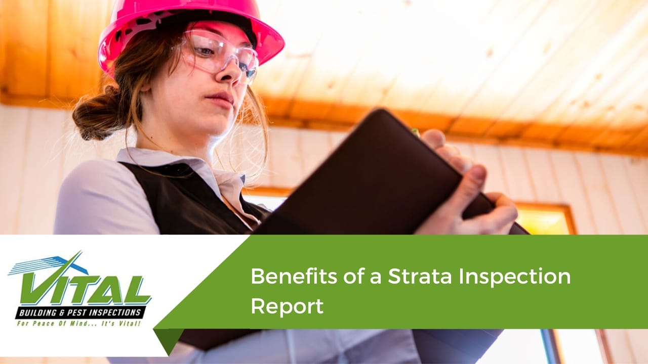 Benefits of a Strata Inspection Report