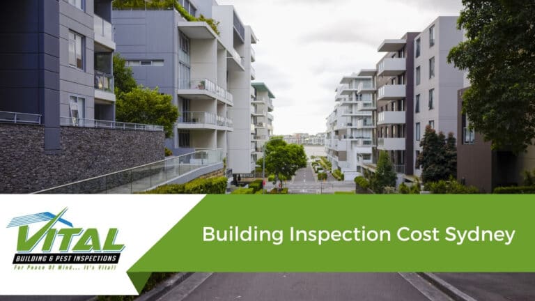 Building Inspection Cost Sydney