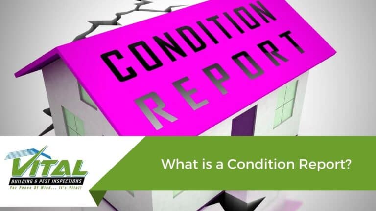 What is a Condition Report