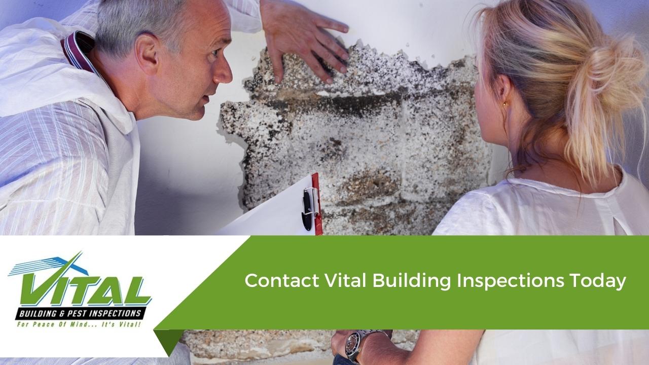 Contact Vital Building Inspections Today