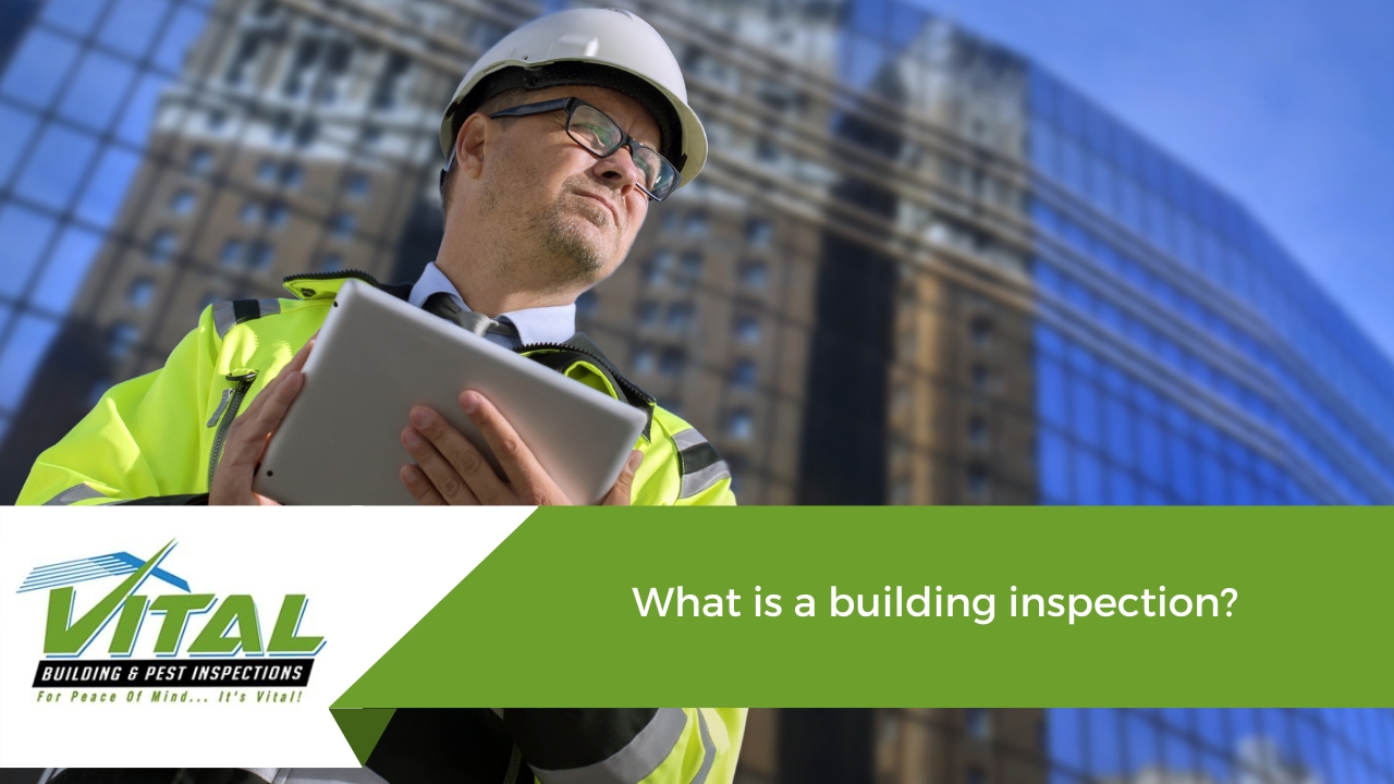 What is a building inspection