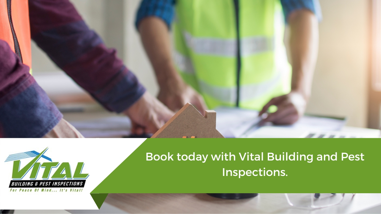 Book today with Vital Building Inspections Sydney