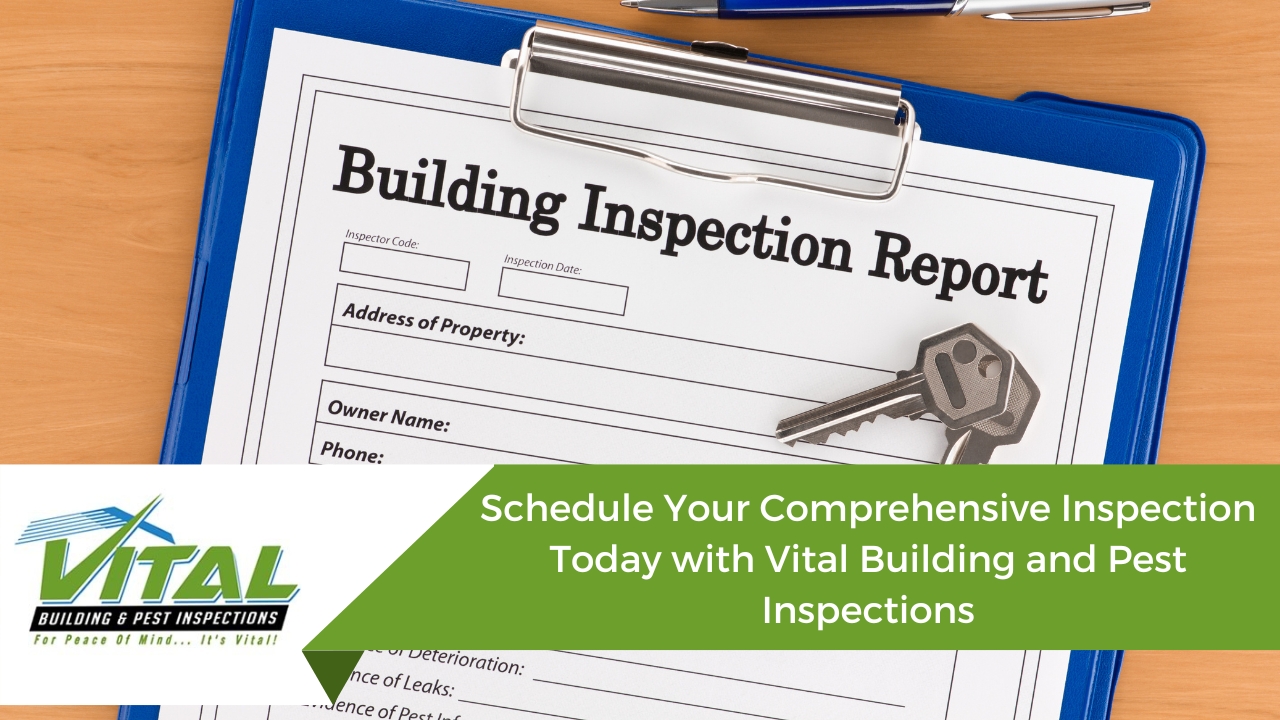 Schedule Your Comprehensive Inspection Today with Vital Building Inspections Sydney