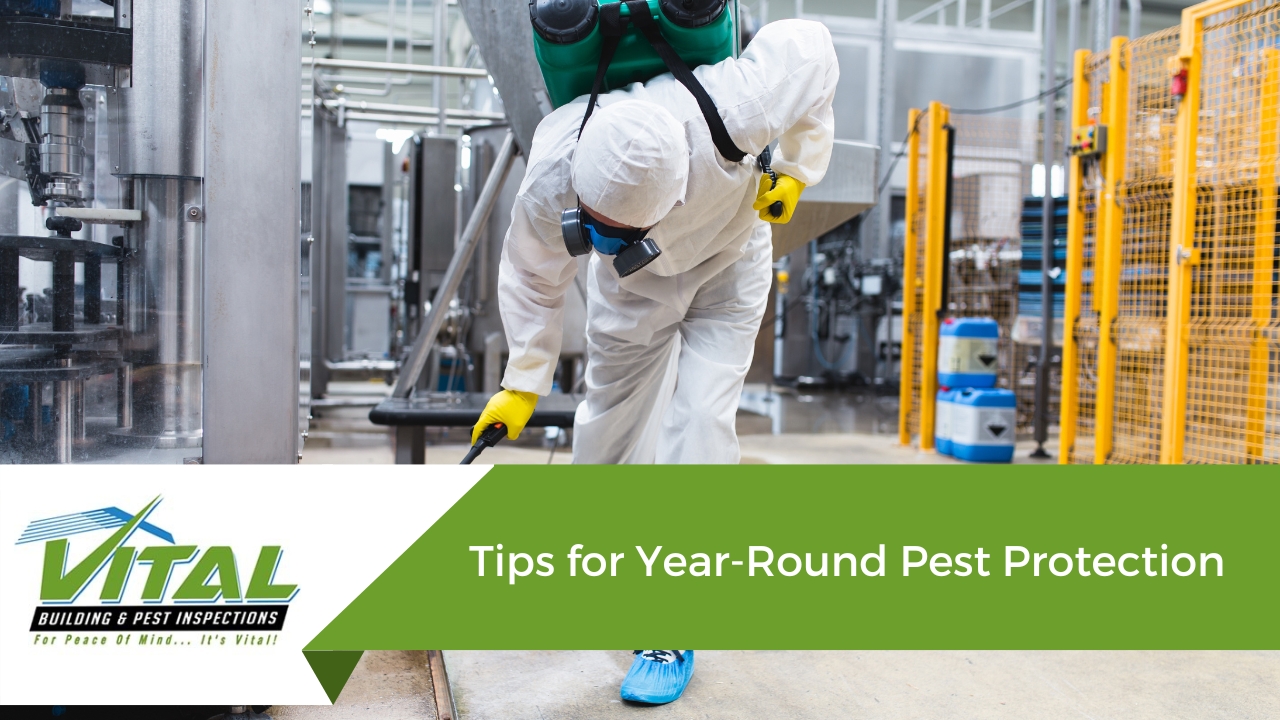 Tips for Year-Round Pest Protection
