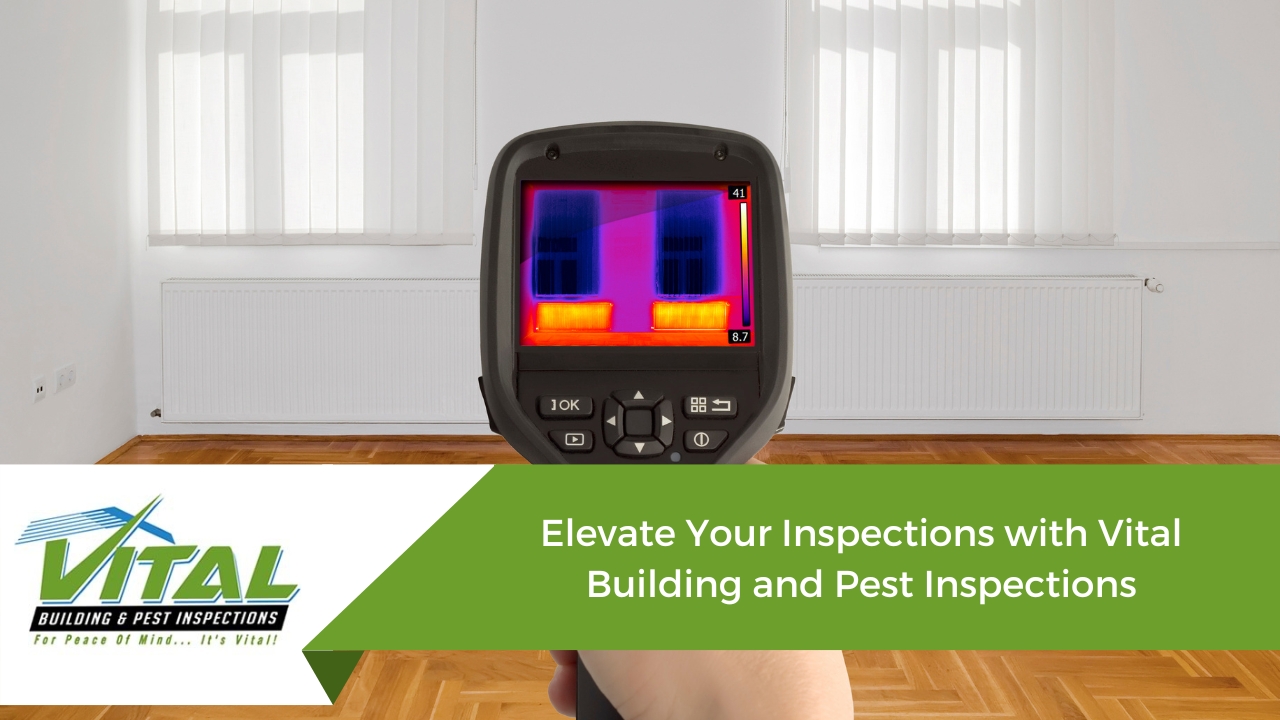 Elevate Your Inspections with Vital Building and Pest Inspections