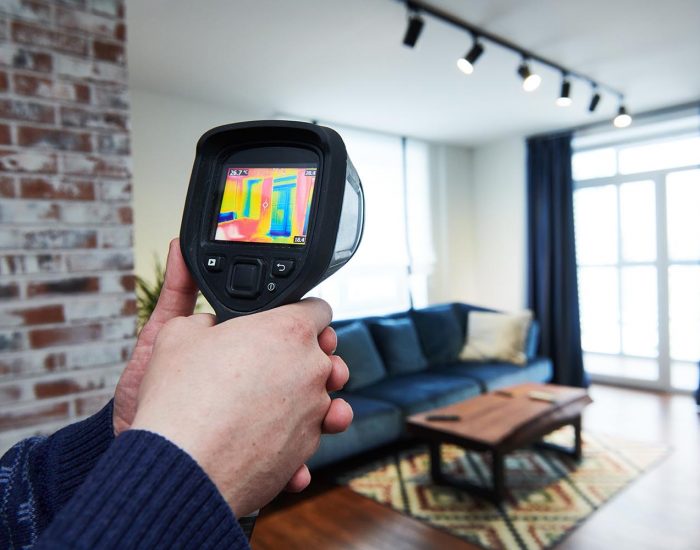 Thermal,Imaging used in pest inspections